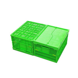 Disesuaikan Green PP Plastic Folding Crate Mesh Body + Solid Bottom