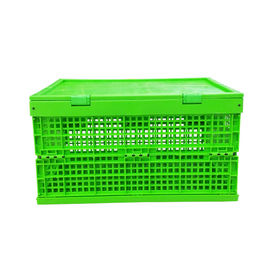 Disesuaikan Green PP Plastic Folding Crate Mesh Body + Solid Bottom