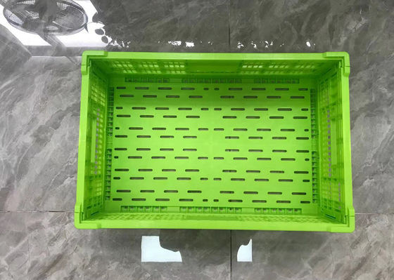 Peti Plastik Buah Dan Sayuran PP Multi Ukuran Stackable