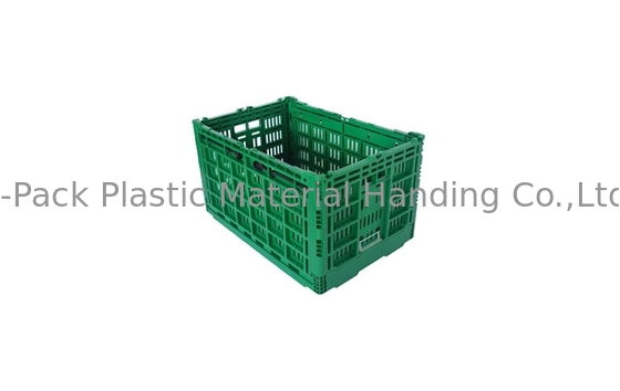 Peti Plastik Besar Hijau Dilipat Kustom Untuk Buah Sayuran Bahan Perawan PP