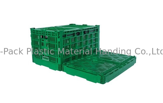 3.4kg 100% Virgin PP Heavy Duty Buah Dan Sayuran Peti Plastik