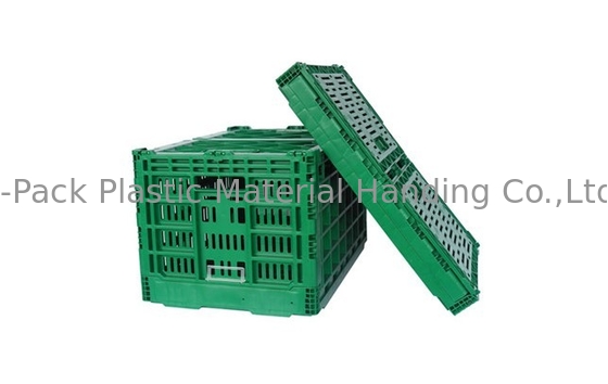 3.4kg 100% Virgin PP Heavy Duty Buah Dan Sayuran Peti Plastik